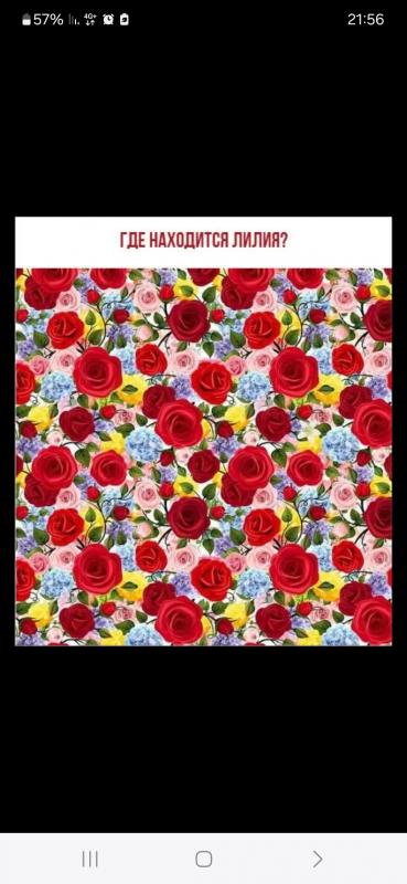 уроки иврита для взрослых