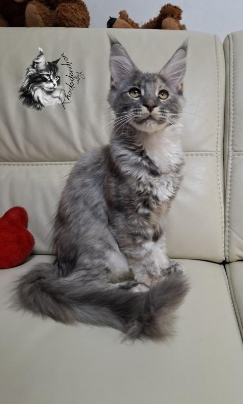 Мейкуны